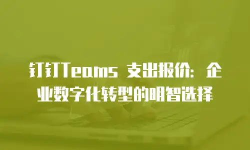 钉钉Teams 支出报价：企业数字化转型的明智选择