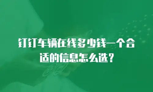 钉钉车辆在线多少钱一个合适的信息怎么选？