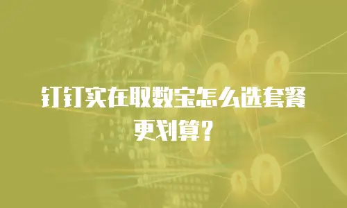 钉钉实在取数宝怎么选套餐更划算？