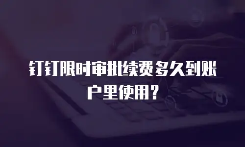 钉钉限时审批续费多久到账户里使用？