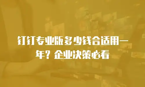 钉钉专业版多少钱合适用一年？企业决策必看