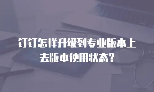 钉钉怎样升级到专业版本上去版本使用状态？