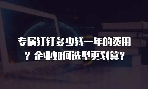 专属钉钉多少钱一年的费用？企业如何选型更划算？