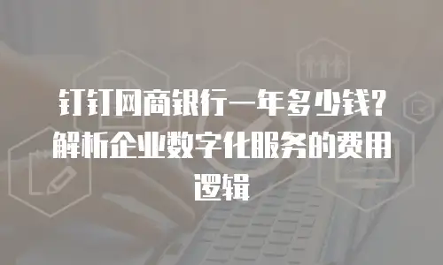 钉钉网商银行一年多少钱？解析企业数字化服务的费用逻辑