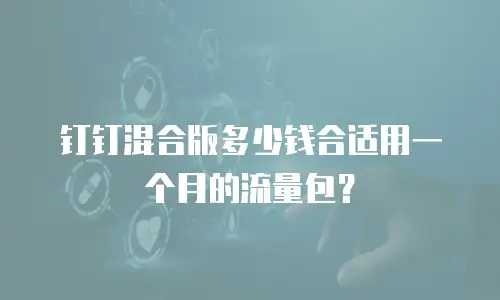 钉钉混合版多少钱合适用一个月的流量包？