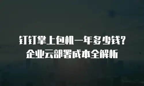 钉钉掌上包机一年多少钱？企业云部署成本全解析