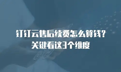 钉钉云售后续费怎么算钱？关键看这3个维度