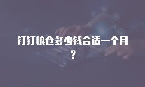 钉钉粮仓多少钱合适一个月？
