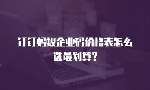 钉钉蚂蚁企业码价格表怎么选最划算？