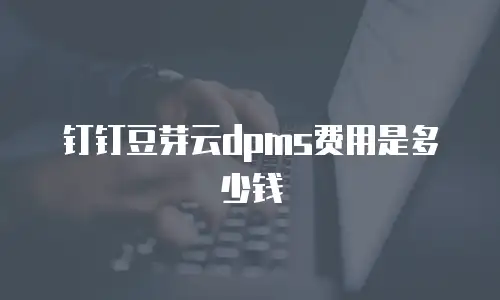 钉钉豆芽云dpms费用是多少钱