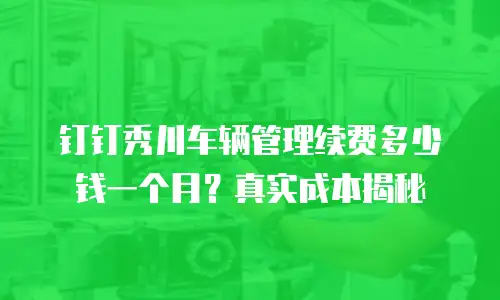 钉钉秀川车辆管理续费多少钱一个月？真实成本揭秘