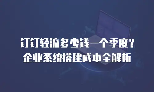 钉钉轻流多少钱一个季度？企业系统搭建成本全解析