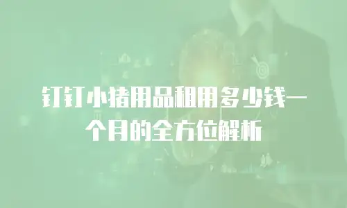 钉钉小猪用品租用多少钱一个月的全方位解析