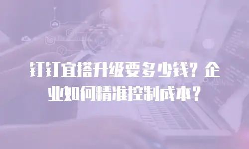 钉钉宜搭升级要多少钱？企业如何精准控制成本？