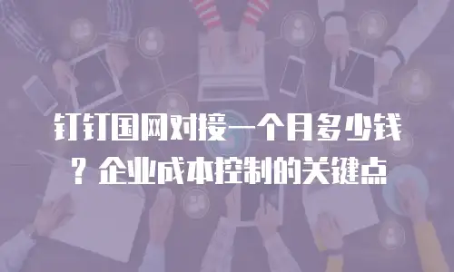 钉钉国网对接一个月多少钱？企业成本控制的关键点