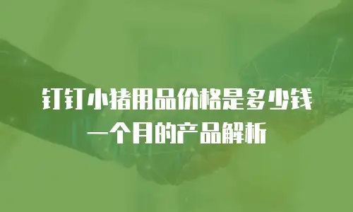 钉钉小猪用品价格是多少钱一个月的产品解析