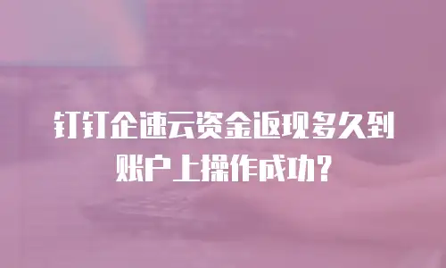 钉钉企速云资金返现多久到账户上操作成功？