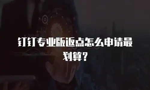 钉钉专业版返点怎么申请最划算？