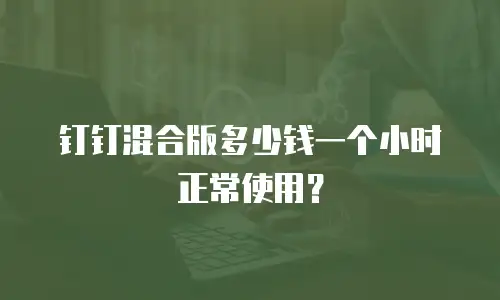 钉钉混合版多少钱一个小时正常使用？