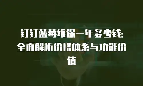 钉钉蓝莓维保一年多少钱：全面解析价格体系与功能价值