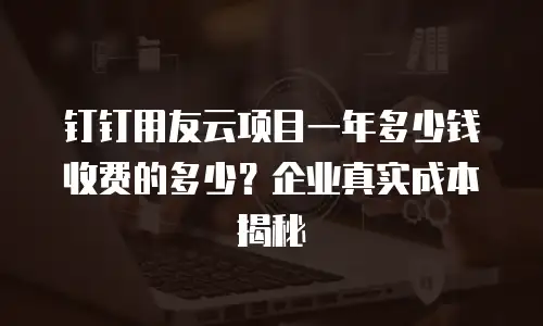 钉钉用友云项目一年多少钱收费的多少？企业真实成本揭秘