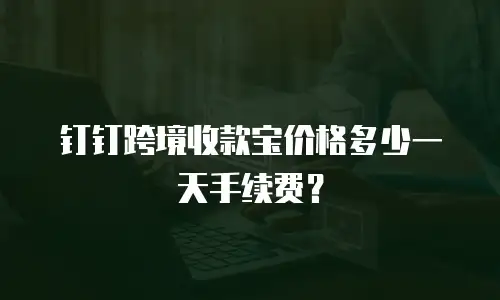 钉钉跨境收款宝价格多少一天手续费？