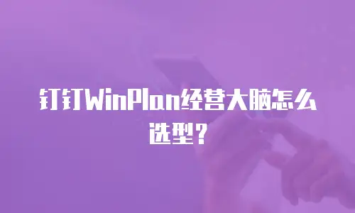 钉钉WinPlan经营大脑怎么选型？