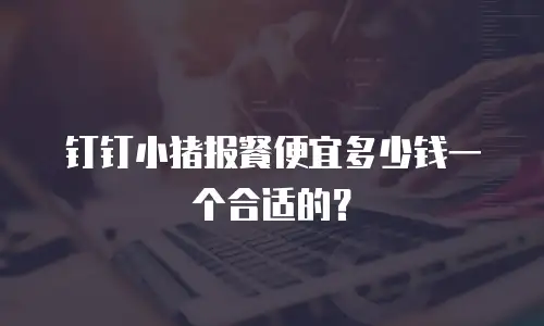 钉钉小猪报餐便宜多少钱一个合适的？