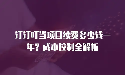钉钉叮当项目续费多少钱一年？成本控制全解析