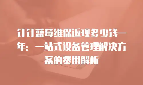 钉钉蓝莓维保返现多少钱一年：一站式设备管理解决方案的费用解析