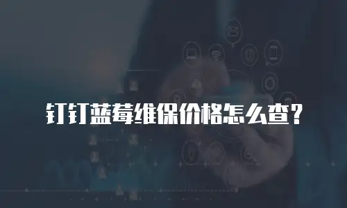 钉钉蓝莓维保价格怎么查？