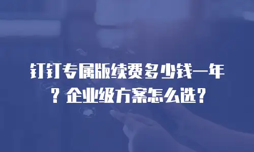 钉钉专属版续费多少钱一年？企业级方案怎么选？