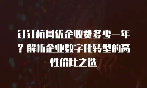钉钉杭网优企收费多少一年？解析企业数字化转型的高性价比之选