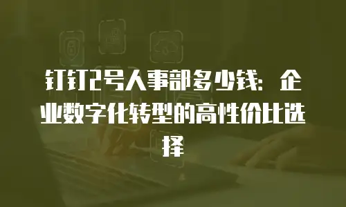 钉钉2号人事部多少钱：企业数字化转型的高性价比选择
