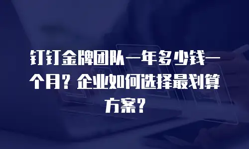 钉钉金牌团队一年多少钱一个月？企业如何选择最划算方案？