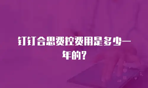 钉钉合思费控费用是多少一年的？