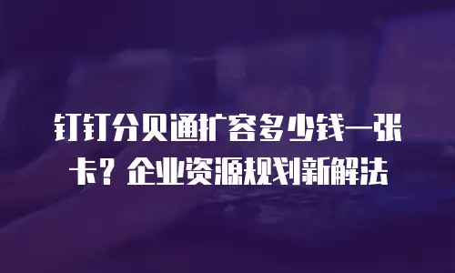 钉钉分贝通扩容多少钱一张卡？企业资源规划新解法