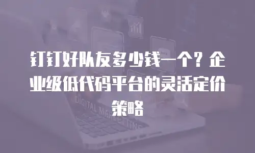 钉钉好队友多少钱一个？企业级低代码平台的灵活定价策略