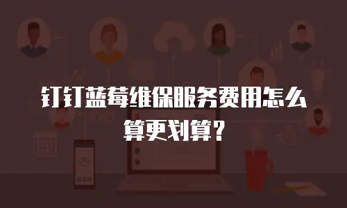 钉钉蓝莓维保服务费用怎么算更划算？