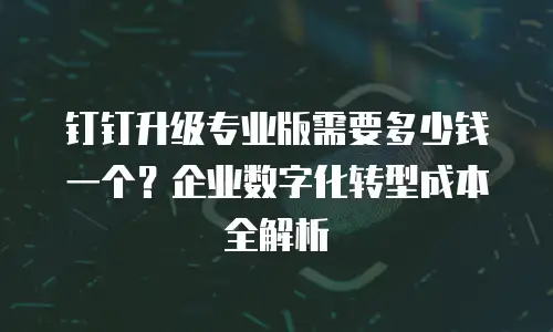钉钉升级专业版需要多少钱一个？企业数字化转型成本全解析