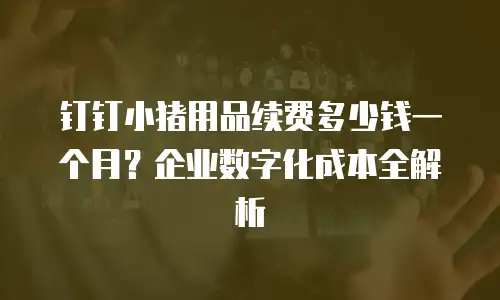 钉钉小猪用品续费多少钱一个月？企业数字化成本全解析
