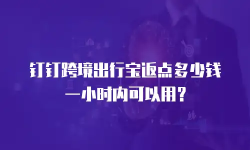 钉钉跨境出行宝返点多少钱一小时内可以用？