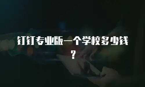钉钉专业版一个学校多少钱？