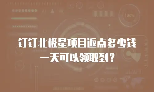 钉钉北极星项目返点多少钱一天可以领取到？