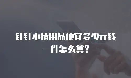 钉钉小猪用品便宜多少元钱一件怎么算？