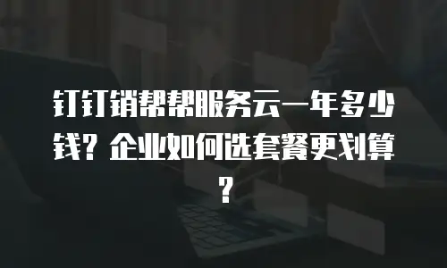 钉钉销帮帮服务云一年多少钱？企业如何选套餐更划算？