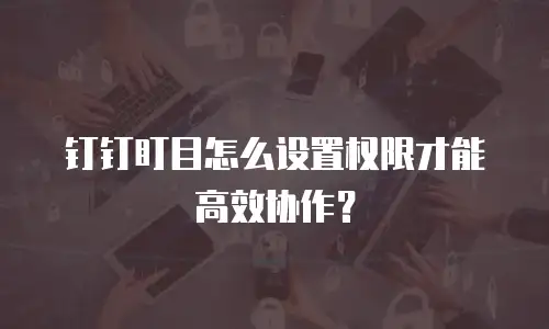 钉钉盯目怎么设置权限才能高效协作？