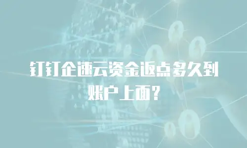 钉钉企速云资金返点多久到账户上面？