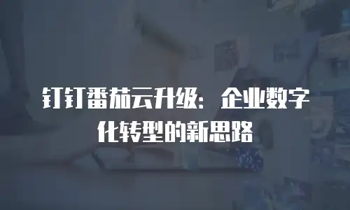 钉钉番茄云升级：企业数字化转型的新思路