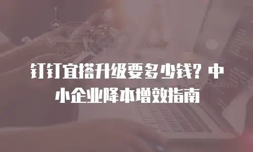 钉钉宜搭升级要多少钱？中小企业降本增效指南
